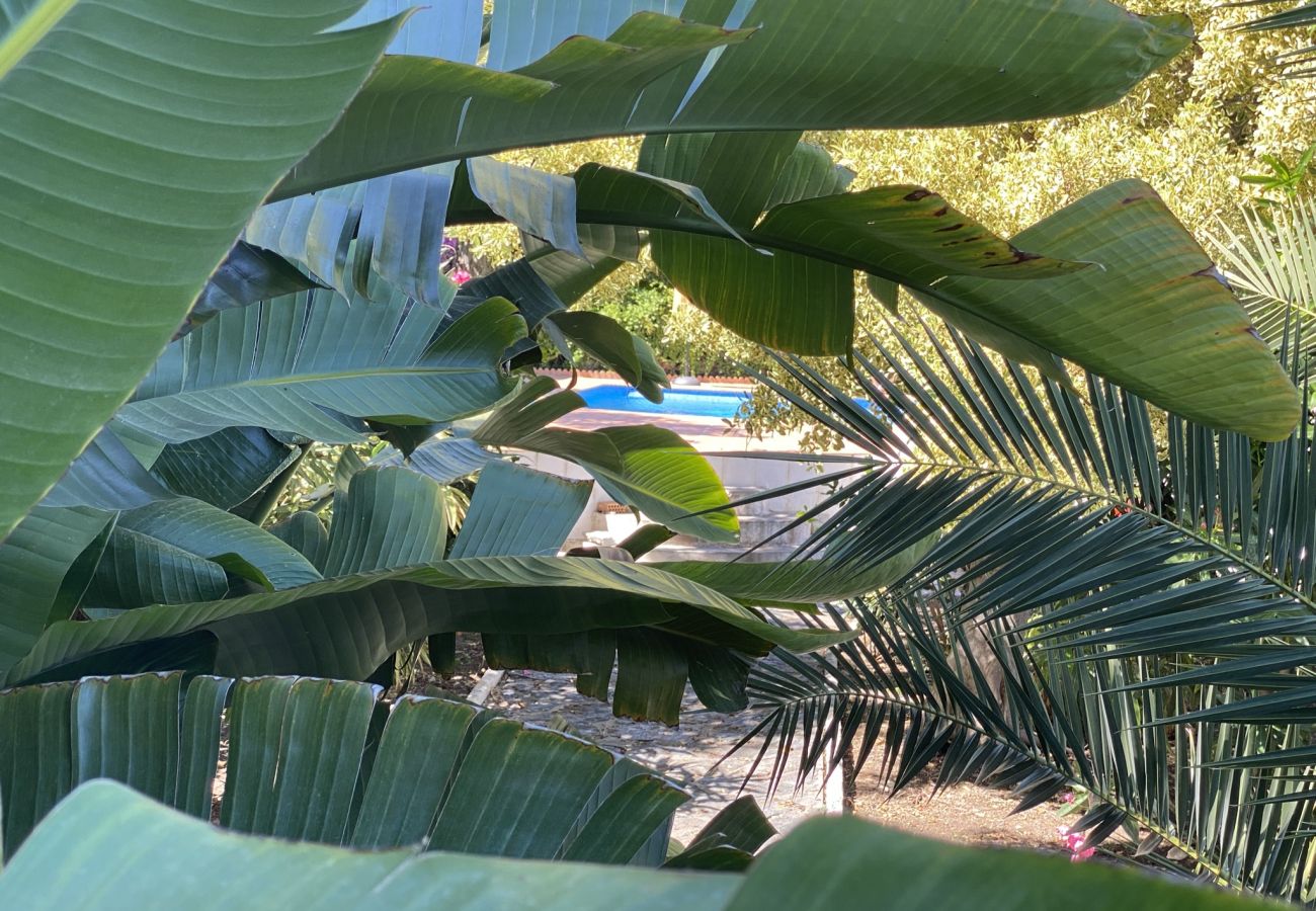 Villa à Almuñecar - Superbe villa de 6 lits avec piscine privée et vue sur la mer.